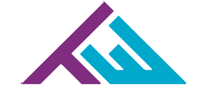 THE WALL PROFESIONAL Logo